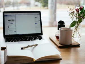 webentwicklung